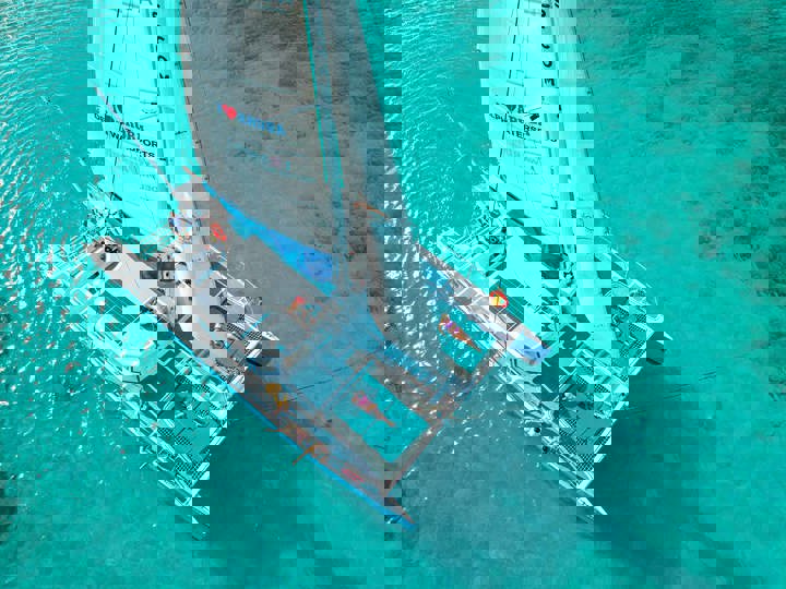 Catamaran Dolphin Snorkeling Adventure Cruise incl. open bar | Delphi Watersports